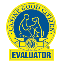 CGC Eval logo